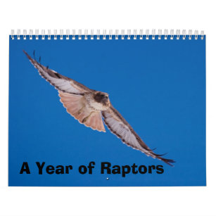 A Year of Raptors Calendar