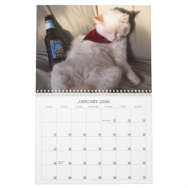 A year of ridiculousness calendar (Jan 2026)