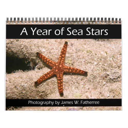 A Year of Sea Stars Calendar