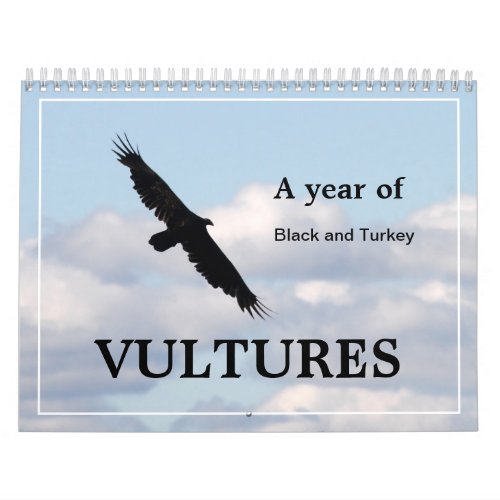 A Year of Vultures Black and Turkey Calendar