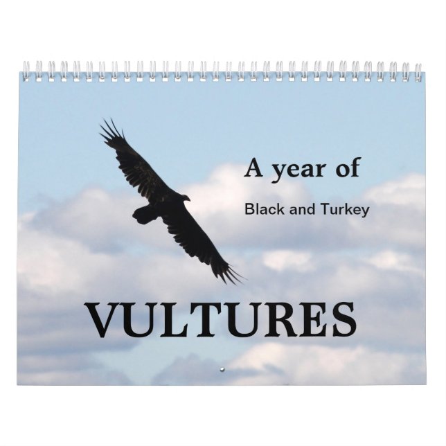 A Year of Vultures Calendar (Cover)