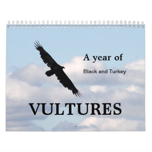 A Year of Vultures Calendar