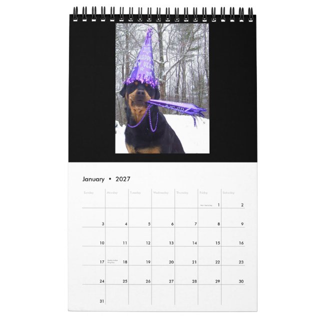 "A Year with Annie" 2016 Rottweiler Calendar (Jan 2027)