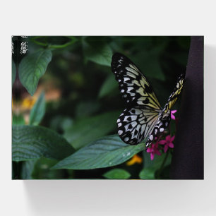 A Yellow Butterfly on Pink Flowers Paperweight