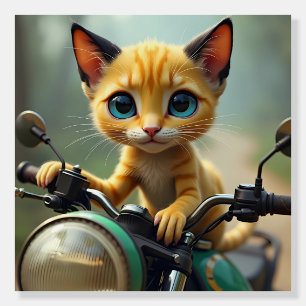 A yellow cat with black ears and big blue eyes foam board