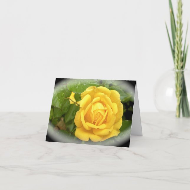 A Yellow Rose is for Friendship Card (Front)