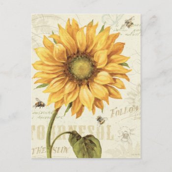A Yellow Sunflower Postcard by wildapple at Zazzle
