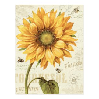 A Yellow Sunflower Postcard