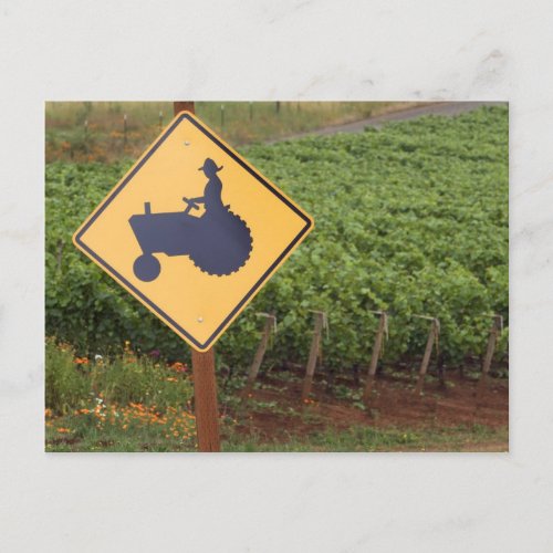 A yellow tractor crossing sign in the vineyard postcard