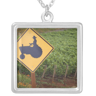 A yellow tractor crossing sign in the vineyard silver plated necklace