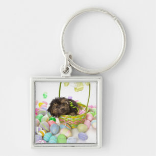 A Yorkie-poo puppy encountering an Easter basket Keychain