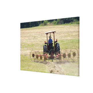 A young boy driving a tractor harvesting canvas print