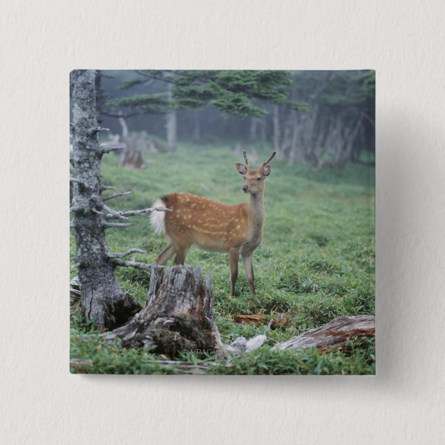 A young deer in a forest clearing button (Front)
