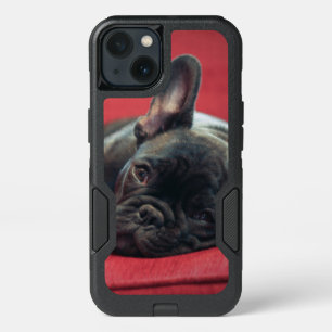 A Young French Bulldog Lying On A Couch iPhone 13 Case