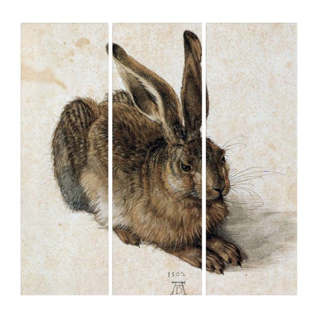 A Young Hare - Albrecht Durer - c1502 Triptych (Front)