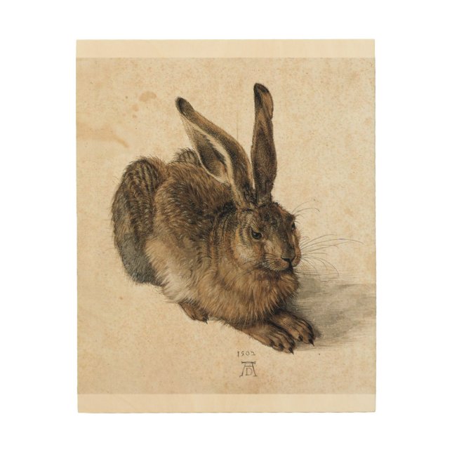 A Young Hare - Albrecht Durer - c1502 Wood Wall Art (Front)