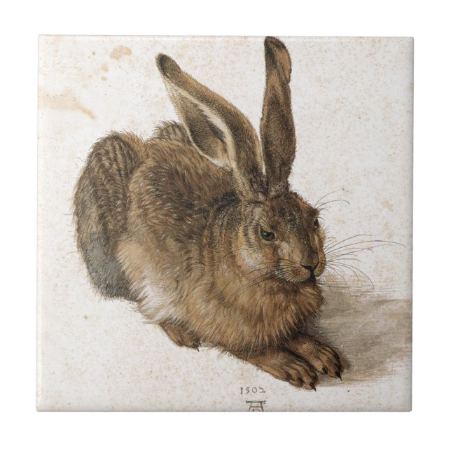 A Young Hare by Albrecht Durer Tile (Front)