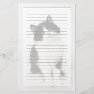 A young kitten sitting looking into the camera stationery