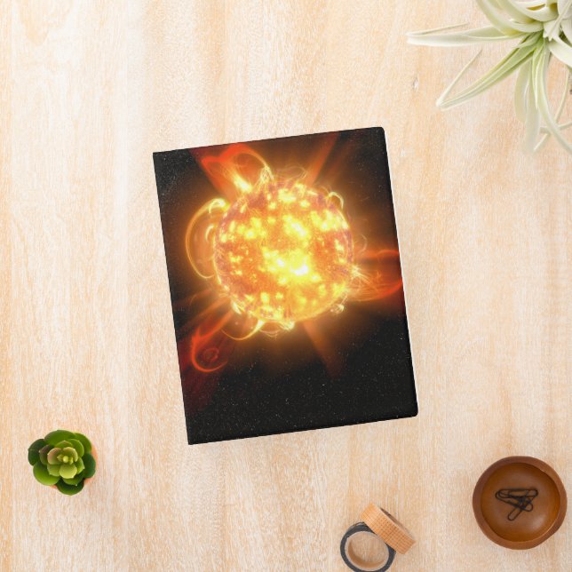 A Young Red Dwarf Mini Binder (InSitu)