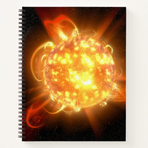 A Young Red Dwarf Notebook