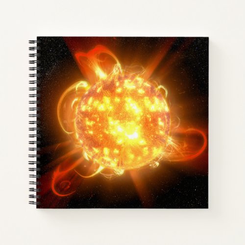 A Young Red Dwarf Notebook