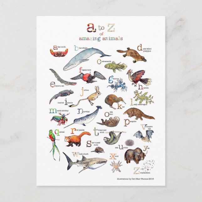 A-Z of amazing animals Postcard (Front)