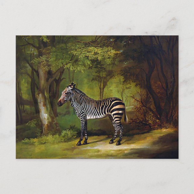 A Zebra by George Stubbs Postcard (Front)