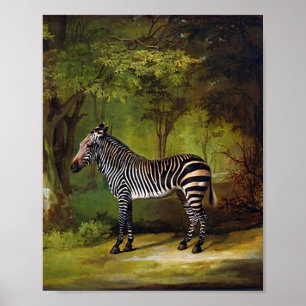 A Zebra by George Stubbs Poster