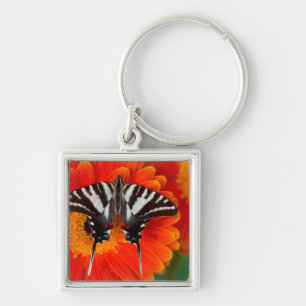 A Zebra Swallowtail Butterfly Keychain