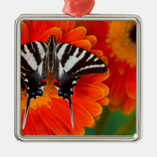 A Zebra Swallowtail Butterfly Metal Ornament