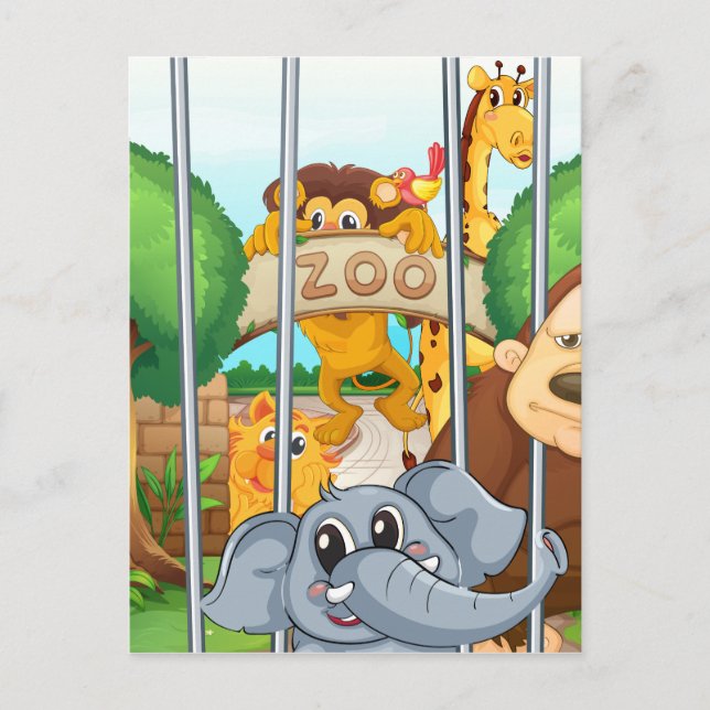 a zoo and the animals postcard (Front)