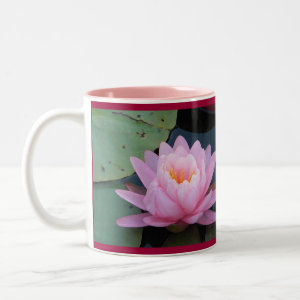 AA- Pink Water Lily Mug mug