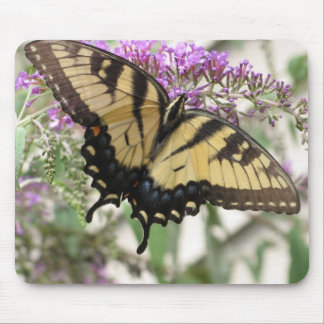 AA- Yellow Swallowtail Butterfly Mouse Pad