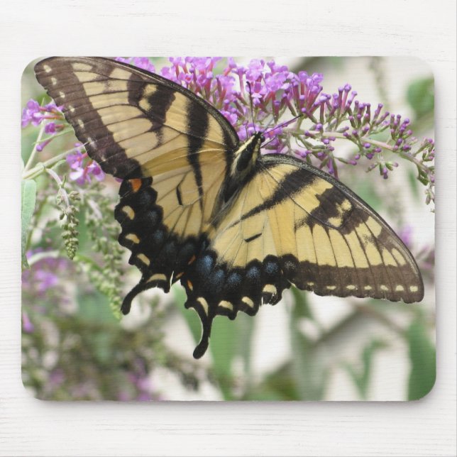AA- Yellow Swallowtail Butterfly Mouse Pad (Front)