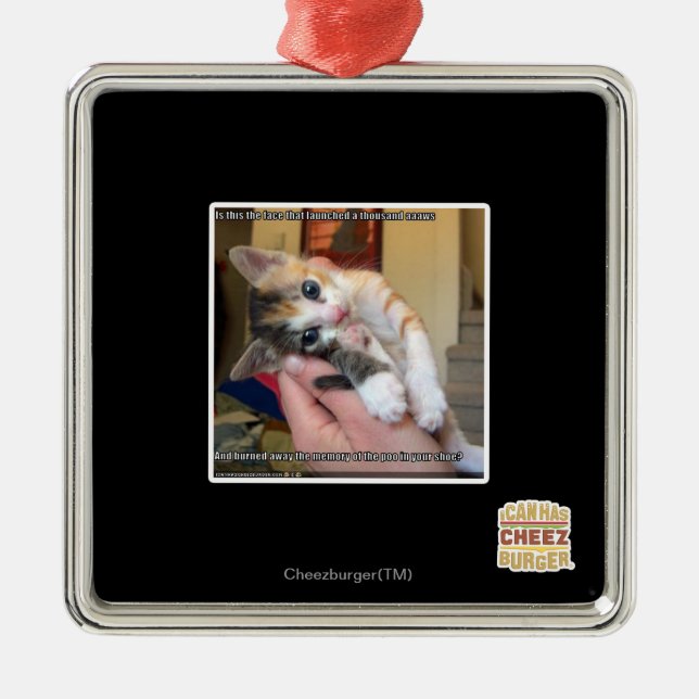 Aaaws Metal Ornament (Front)