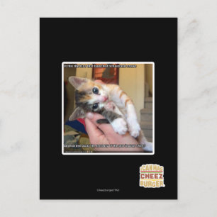 Aaaws Postcard