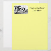 Aachen Band Cropper Pigeons (Front/Back)