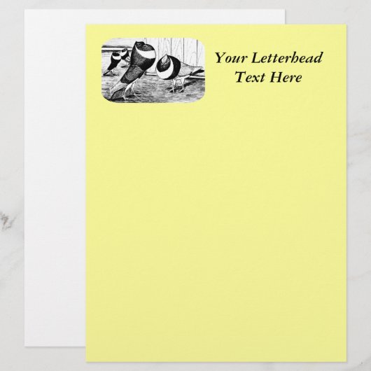 Aachen Band Cropper Pigeons (Front/Back)