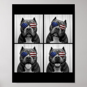Aamerican Bully 4th Of July Aamerican Flag Dog Poster