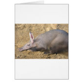 Aardvark (Front)