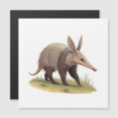 Aardvark (Front/Back)