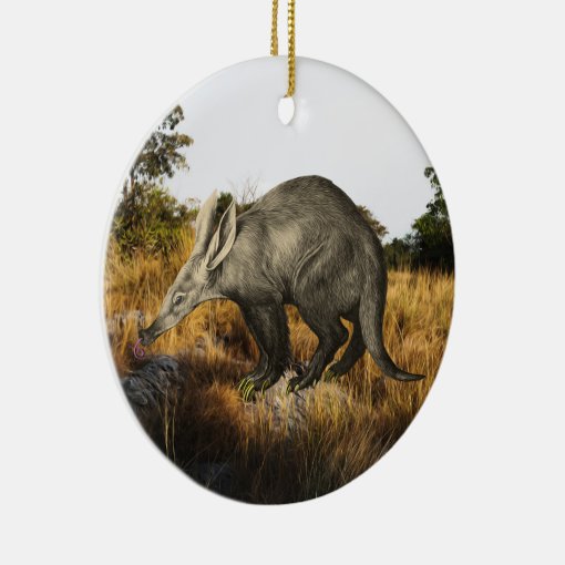 Aardvark Ceramic Ornament | Zazzle