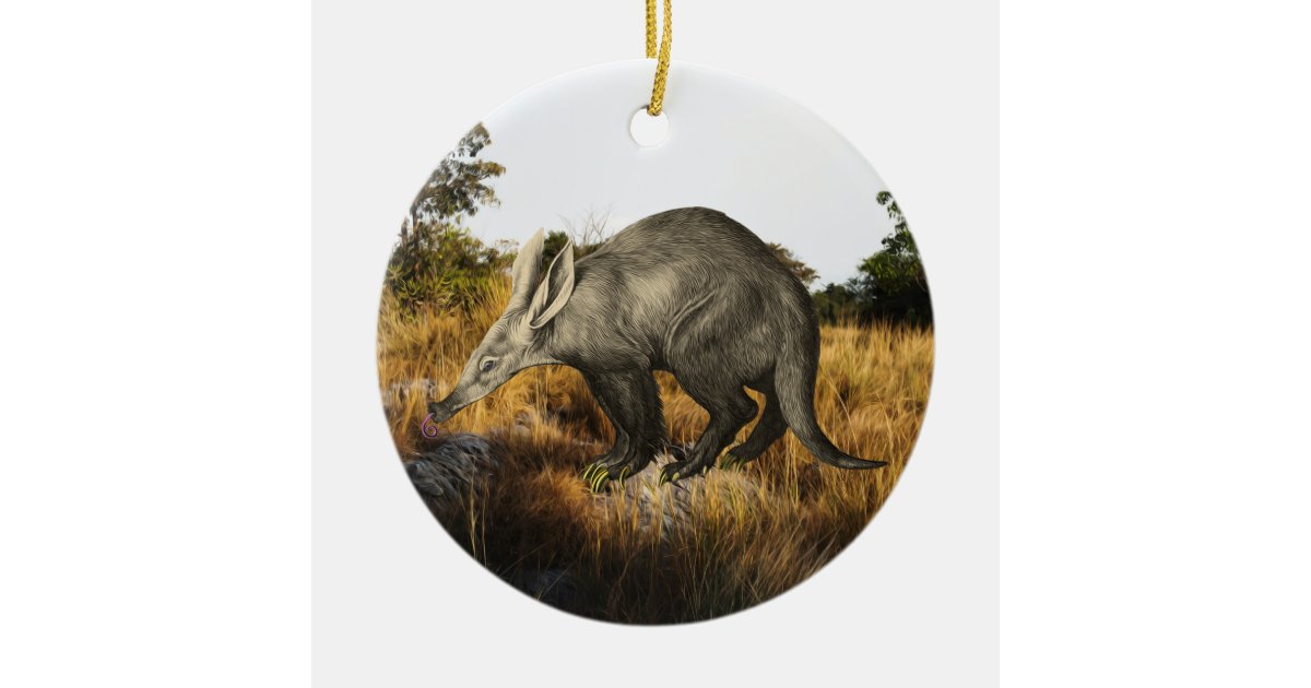 Aardvark Ceramic Ornament | Zazzle