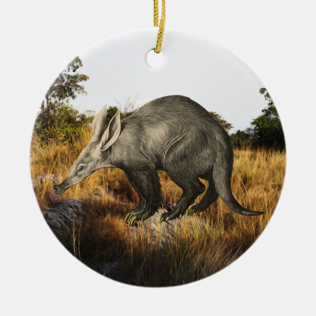 Aardvark Ceramic Ornament (Front)