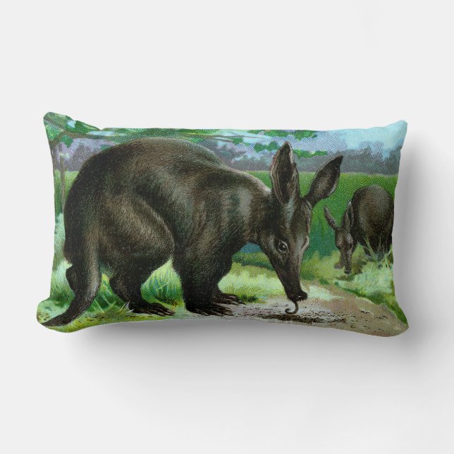 Aardvark Eating Ants Lumbar Pillow (Front)