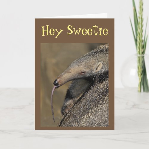 AARDVARK WILL LOVE YOU FOREVER KISS ME CARD