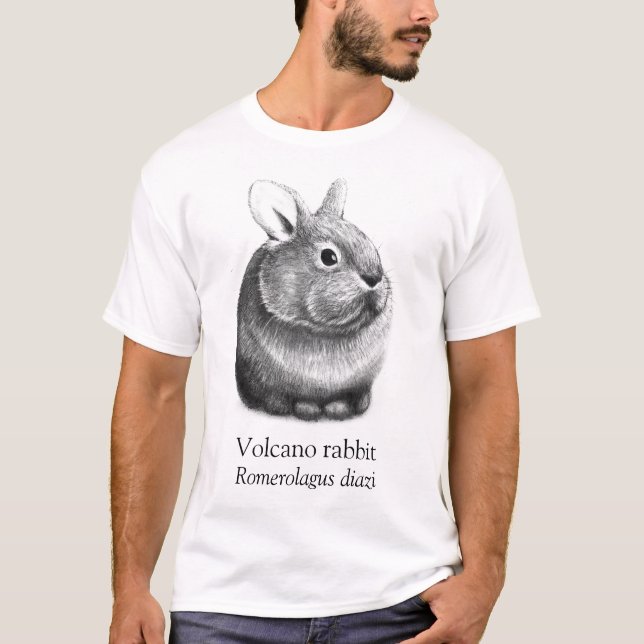 Aart Volcano Rabbit White T-Shirt (Front)