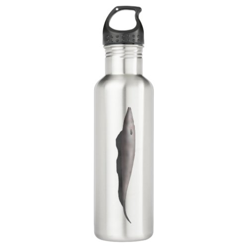 Aba Stainless Steel Water Bottle