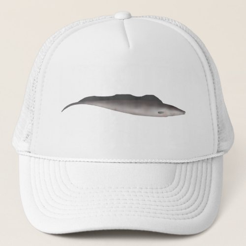 Aba Trucker Hat