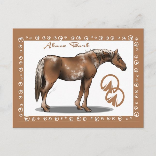 Abaco Barb Postcard (Front)